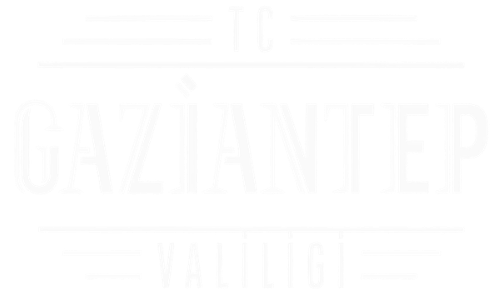 Valilik